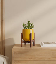 Load image into Gallery viewer, Mustard stand:walnut
