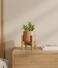 Load image into Gallery viewer, Calm Rose stand:bamboo
