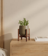 Load image into Gallery viewer, Olive stand:walnut
