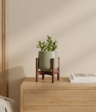 Load image into Gallery viewer, Turquoise stand:walnut
