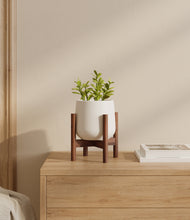 Load image into Gallery viewer, White stand:walnut
