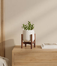 Load image into Gallery viewer, White stand:walnut

