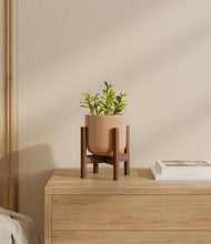 Load image into Gallery viewer, Glossy Pink stand:walnut
