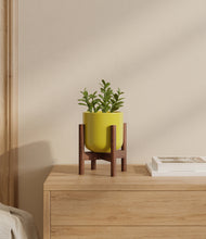 Load image into Gallery viewer, Key Lime Yellow stand:walnut
