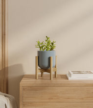 Load image into Gallery viewer, Misty Blue stand:bamboo
