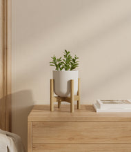 Load image into Gallery viewer, Natural Bamboo stand:bamboo
