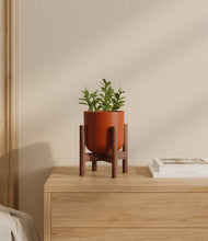 Load image into Gallery viewer, Earth Red stand:walnut

