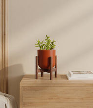 Load image into Gallery viewer, Earth Red stand:walnut
