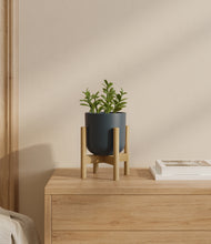 Load image into Gallery viewer, Iron Gray stand:bamboo
