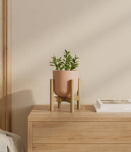 Load image into Gallery viewer, Sandy Pink stand:bamboo
