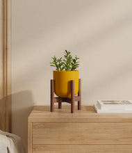 Load image into Gallery viewer, Sunset Orange stand:walnut

