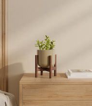 Load image into Gallery viewer, Sage Green stand:walnut
