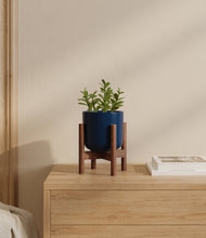 Load image into Gallery viewer, Twilight Blue stand:walnut

