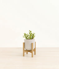 Load image into Gallery viewer, Snowdrift White stand:bamboo
