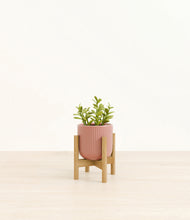 Load image into Gallery viewer, Striped Rose Pink stand:bamboo
