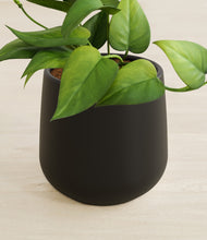 Load image into Gallery viewer, Black stand:all
