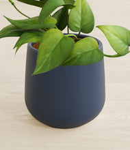 Load image into Gallery viewer, Deep Navy stand:all
