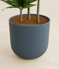 Load image into Gallery viewer, Iron Gray stand:all
