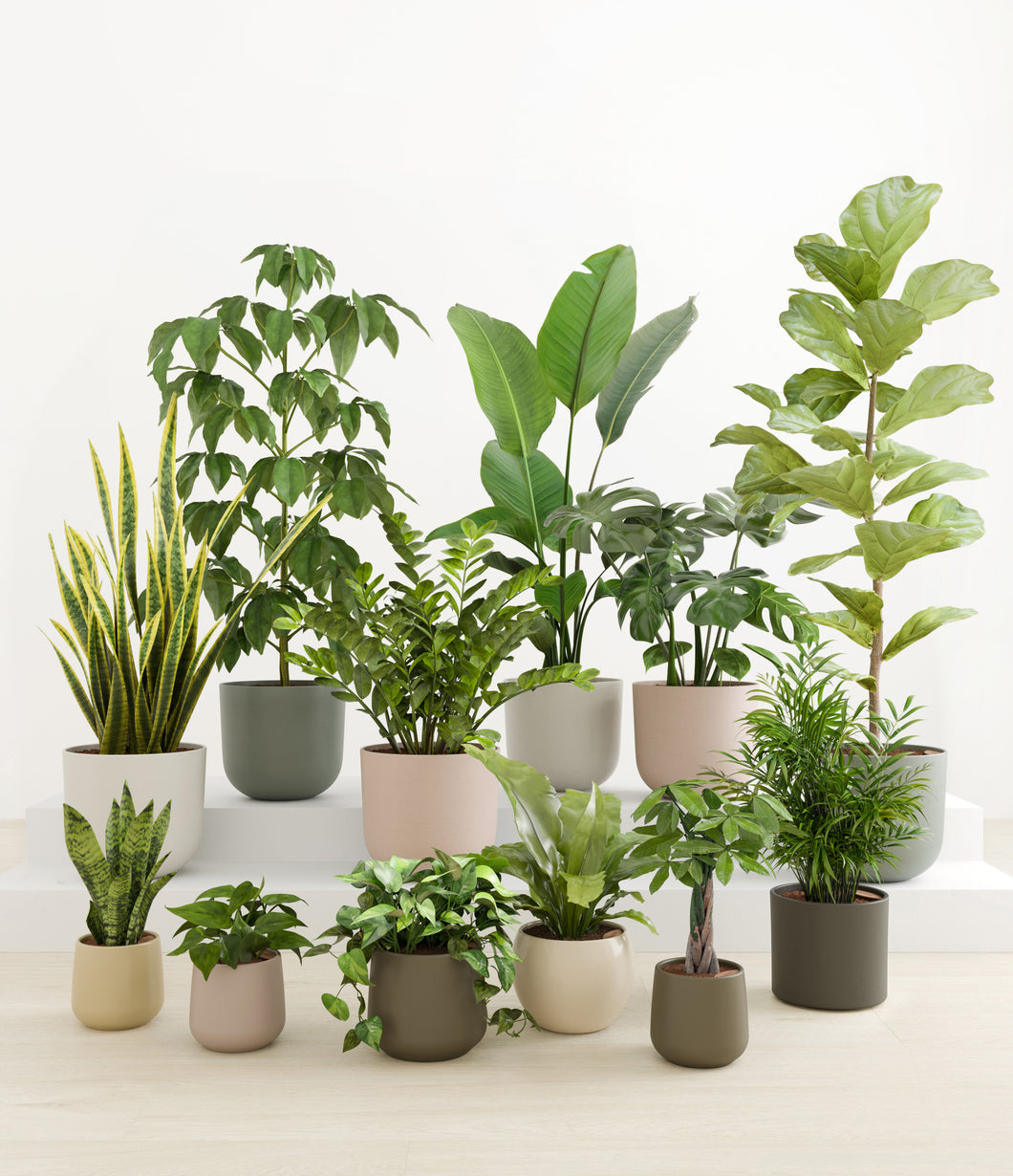 Woodland*****Profile