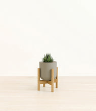 Load image into Gallery viewer, Sage Green stand:bamboo
