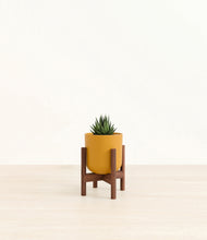 Load image into Gallery viewer, Sunset Orange stand:walnut

