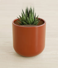 Load image into Gallery viewer, Glossy Red stand:all
