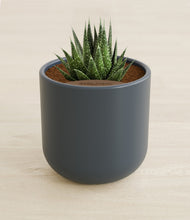 Load image into Gallery viewer, Iron Gray stand:all
