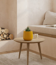 Load image into Gallery viewer, Mustard
