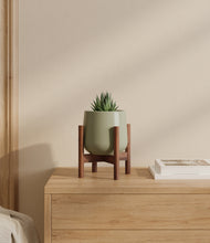 Load image into Gallery viewer, Turquoise stand:walnut
