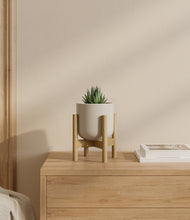 Load image into Gallery viewer, Cotton White stand:bamboo
