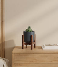 Load image into Gallery viewer, Iron Gray stand:walnut
