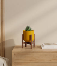 Load image into Gallery viewer, Sunset Orange stand:walnut
