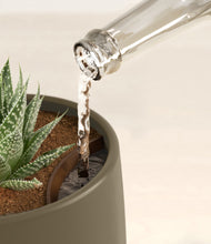 Load image into Gallery viewer, Olive stand:all
