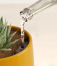 Load image into Gallery viewer, Mustard stand:all
