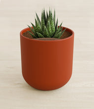 Load image into Gallery viewer, Earth Red stand:all
