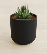 Load image into Gallery viewer, Stone Black stand:all
