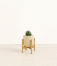 Load image into Gallery viewer, Almond Green stand:bamboo
