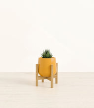 Load image into Gallery viewer, Mustard stand:bamboo
