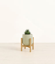 Load image into Gallery viewer, Turquoise stand:bamboo
