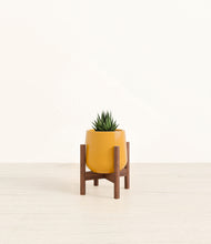 Load image into Gallery viewer, Mustard stand:walnut
