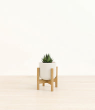 Load image into Gallery viewer, Cotton White stand:bamboo
