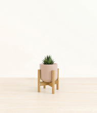 Load image into Gallery viewer, Sandy Pink stand:bamboo
