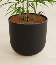 Load image into Gallery viewer, Stone Black stand:all
