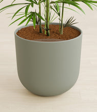 Load image into Gallery viewer, Sage Green stand:all
