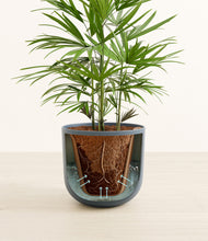 Load image into Gallery viewer, Iron Gray stand:all
