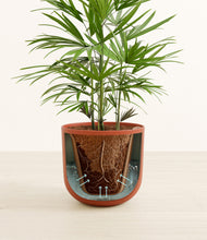 Load image into Gallery viewer, Earth Red stand:all
