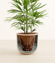 Load image into Gallery viewer, Sandy Pink stand:all
