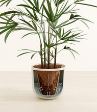 Load image into Gallery viewer, Natural Bamboo stand:all
