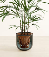 Load image into Gallery viewer, Stone Black stand:all
