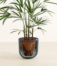 Load image into Gallery viewer, -
